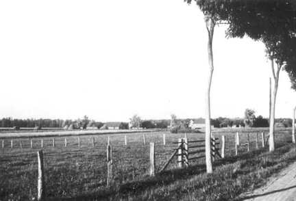 037 0016 Viehkoppel in Hanswalde