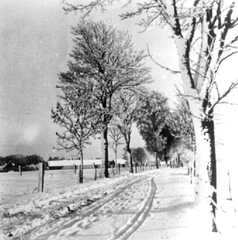 038 0032 Hasenberg im Winter