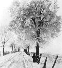 038 0034 Hasenberg im Winter