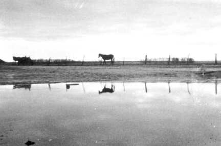 038 0037 Der Teich in Hasenberg