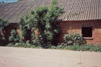 038 1015 Unbewohntes Haus in Hasenberg gesehen 1993
