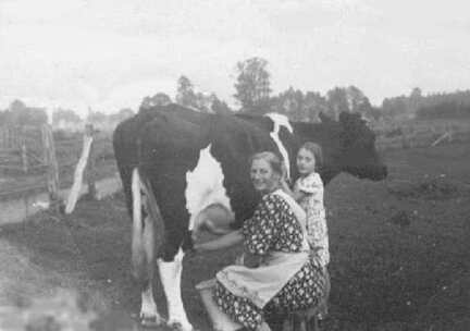 040 0050 Anna Klewitz und Tochter Irma beim Melken ca 1939