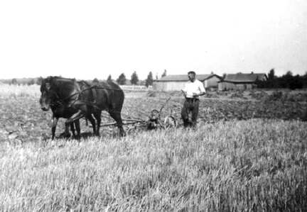 041 0020 Albert Hartman beim Ackern Im Hintergrund das Anwesen Gueldenstern