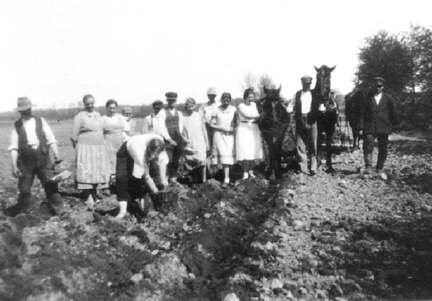 041 0027 Hof Grapentin im Fruehjahr beim Kartoffel legen