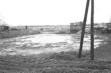 041 1008 Irglacken 1995 Der Dorfteich waechst vollstaendig zu