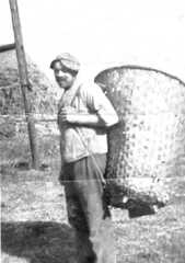 043 0005 Wilhelm Franz Link geb 20 03 1901 gest 03 06 1981