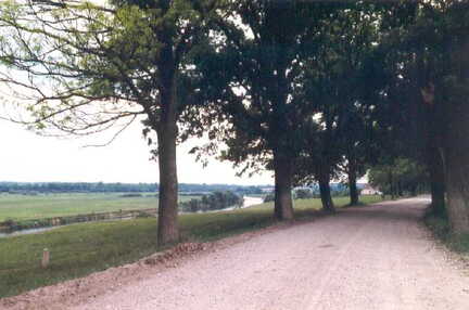 043 1003 Der Pregel bei Kallehnen im Fruehjahr 1998