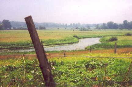 043 1014 Der Pregel in Kallehnen im Juni 1996