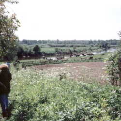 Kallehnen nach 1945
