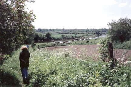 043 1030 Blick vom Wohnhaus Fritz Bohlien auf den Pregel im Jahre 1995