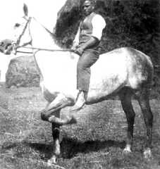 045 0002 Gut Engelshoehe Der Kutscher Paul Palies auf der Trakehner Stute Verliebte