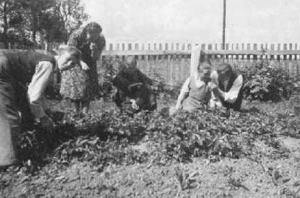 045 0010 Hermann Hagenbach mit Ehefrau Anna und der Oma im Garten
