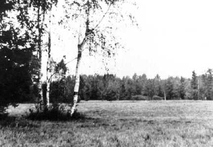 045 0032 Im Gutshof der Pferdestall im Bild Jutta
