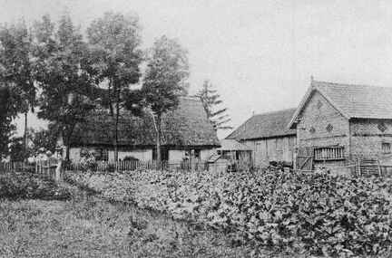 045 0059 Das Anwesen mit Wohnhaus Kuhstall Scheune und Holzschuppen der Fam Emmenthal