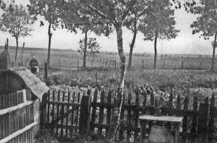 045 0060 Blick in den Gemuesegarten der Fam Emmenthal Links im Bild der Vertretungspostman Gustav Emmenthal