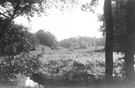 046 0028 Blick auf den Muehlengraben