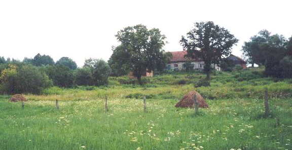 030 1012 Blick auf das Haus von der Alle