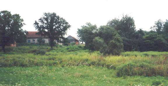 030 1013 Blick auf das Haus von der Alle