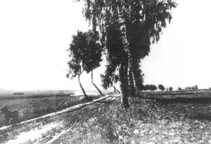 050 0002 Der Weg von Koddien nach Wargienen