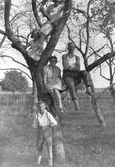 050 0013 Die Kinder der Familie Gudde aus Koddien im Apfelbaum
