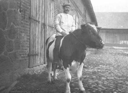 050 0035 Auf dem Hof der Familie John am 02 August 1925