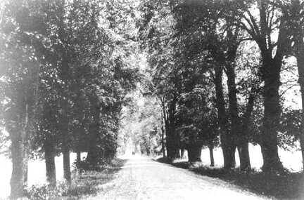 053 0002 Lindenallee nach Potawern