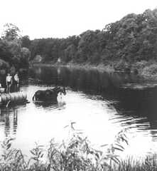 053 0018 Wasser holen an der Alle
