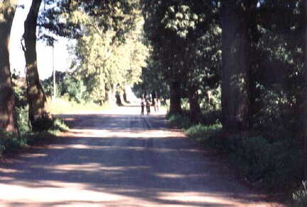 054 1002 In Kordmedien im Sommer1995