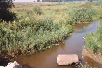 054 1005 Die Omet in der wir noch bis 1945 gebadet haben heute im Jahre 1995