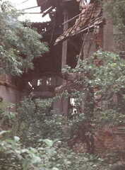 054 1006 Die Reste vom Haus Krause gleich hinter den Insthaeusern des Gutes im Jahre 1995