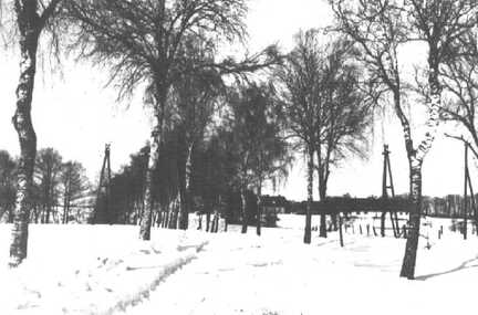 056 0005 Auf der Strasse nach Goldbach Im Hintergrund die Insthaeuser von Gross Kuglack