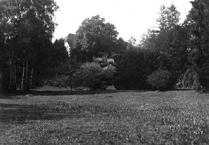 056 0016 Der Park hinter dem Gutshaus im Sommer