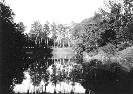 056 0029 Der Lischkauer Grund mit dem Karpfenteich