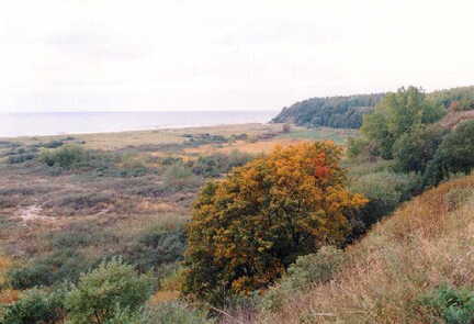 056 1005 Diesen Blick auf die Kueste und die Ostsee geniesst Edith Gutzeit von ihrem Wohnzimmer aus Foto Kenzler
