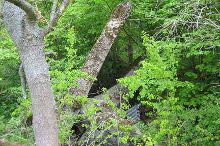 056 1012 Lischkau im Mai 2006 Reste eines gesprengten Bunkers im Deime Bereich