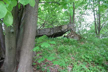 056 1014 Lischkau im Mai 2006 Gesprengter Bunker im Bereich der Deime