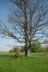 056 1020 Lischkau im Mai 2006 Ein Lindenbaum aus alter Zeit dient als Orientierung zum Gutshof