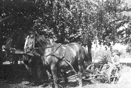 057 0055 Foto aus dem Nachlass der Frau Maria Koos geb Stolzenberg aus Bienenberg