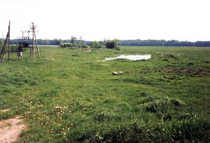 058 1010 Der Dorfteich an der Schmiede am 26 05 1992