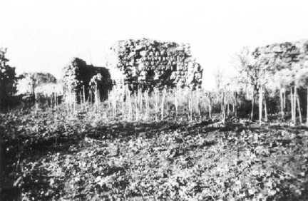 059 0037 Ruine des Schlosses Kremitten