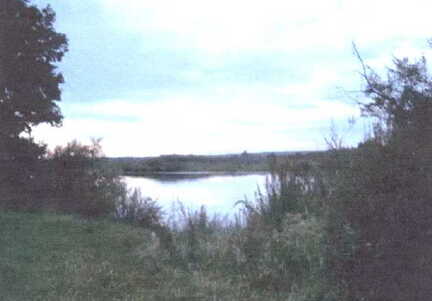 060 1002 Morgenstimmung an der Deime