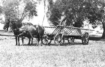 062 0010 Ein Erntewagen Leiterwagen des Bauern Marquardt auf einer Wiese am Augker Weg