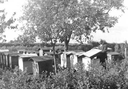 065 0005 Lehrer Emil Kabick bei seinen Bienen in Moterau im Jahre 1938 oder 1939