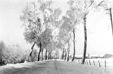 065 0010 Die Dorfstrasse in Moterau vom Schulhaus aus in Richtung Norden Rechts der Hof von Landwirt Geschke Raureif bei minus 22 Grad