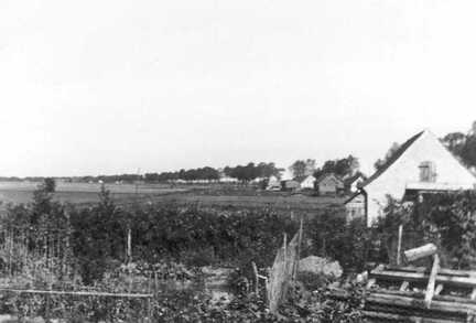 065 0012 Die Baumreihe im Hintergrund zeigt den Verlauf der Strasse nach Lischkau Im Bild die Insthaeuser von Fritz und Franz Schikowski