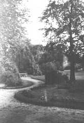 065 0038 Der Park vom Gut Heinrichshof Besitzer Moehrke