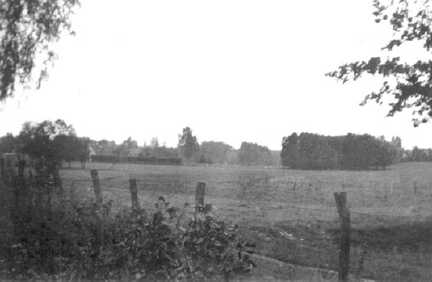 065 0042 Moterau Waldlichtung bei Birkenfelde