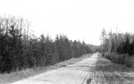 065 0043 Moterau Der Weg nach Birkenfelde