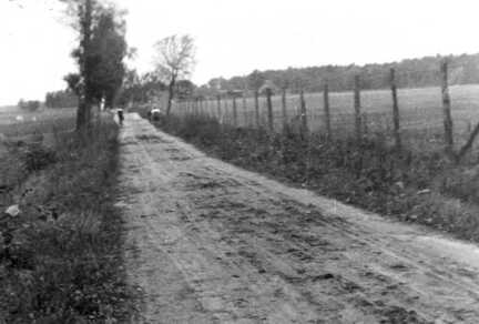 065 0044 Moterau Feldweg in Richtung Lieblacker Forst