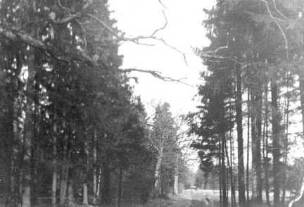 065 0045 Moterau 1940 Landweg am Wald in Richtung Neuendorf